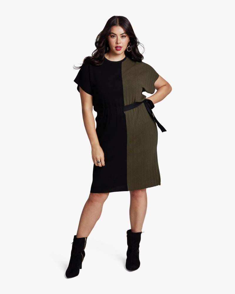 Plus size model with rectangle body shape wearing Linnette Colorblock Pleated Dress by Dex Plus | Dia&Co | dia_product_style_image_id:113187